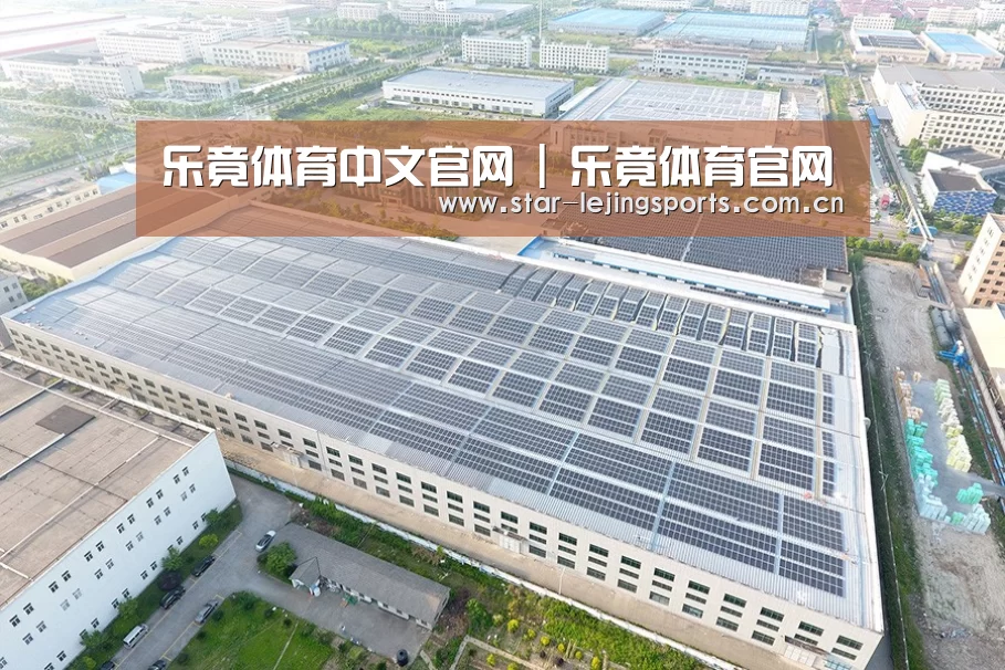 案例展示二