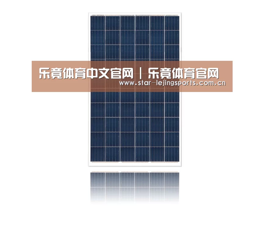 产品名称一