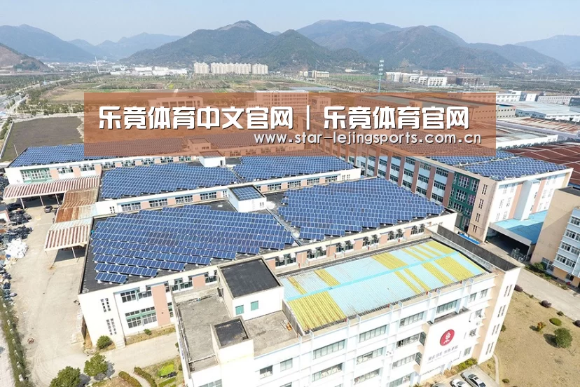 案例展示一
