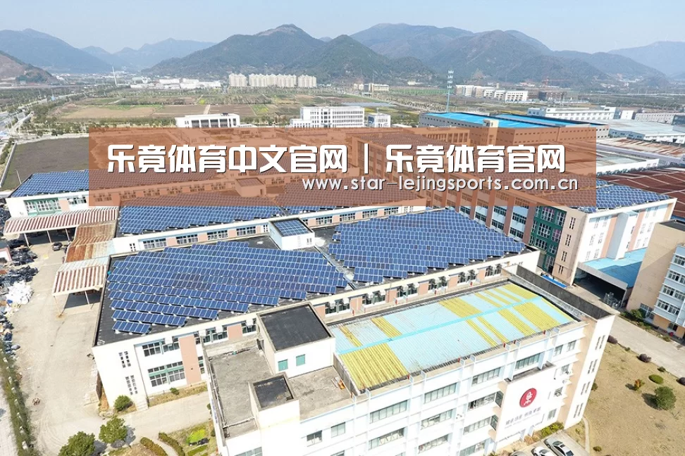 案例展示四