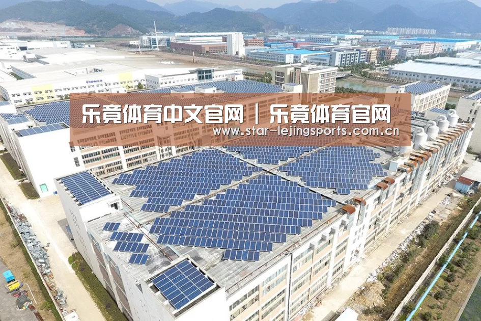 案例展示三