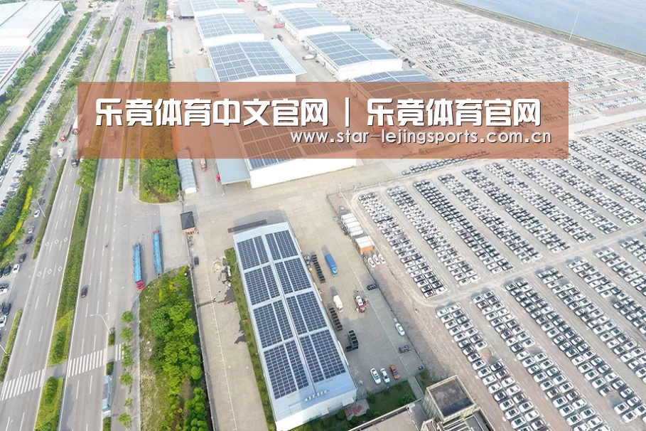 案例展示一