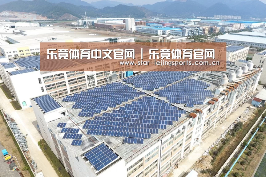案例展示四