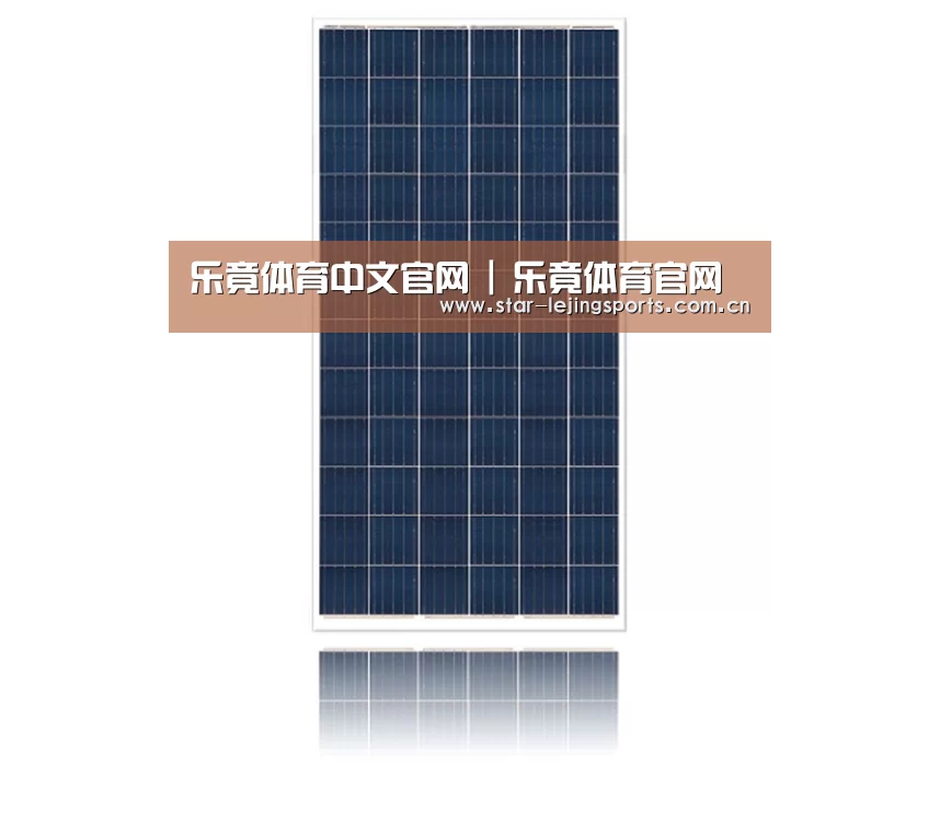 产品名称一