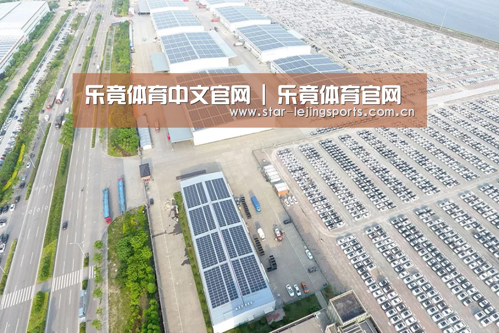 案例展示一
