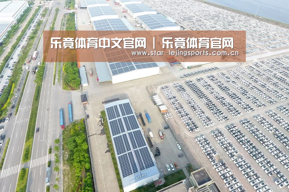 案例展示三