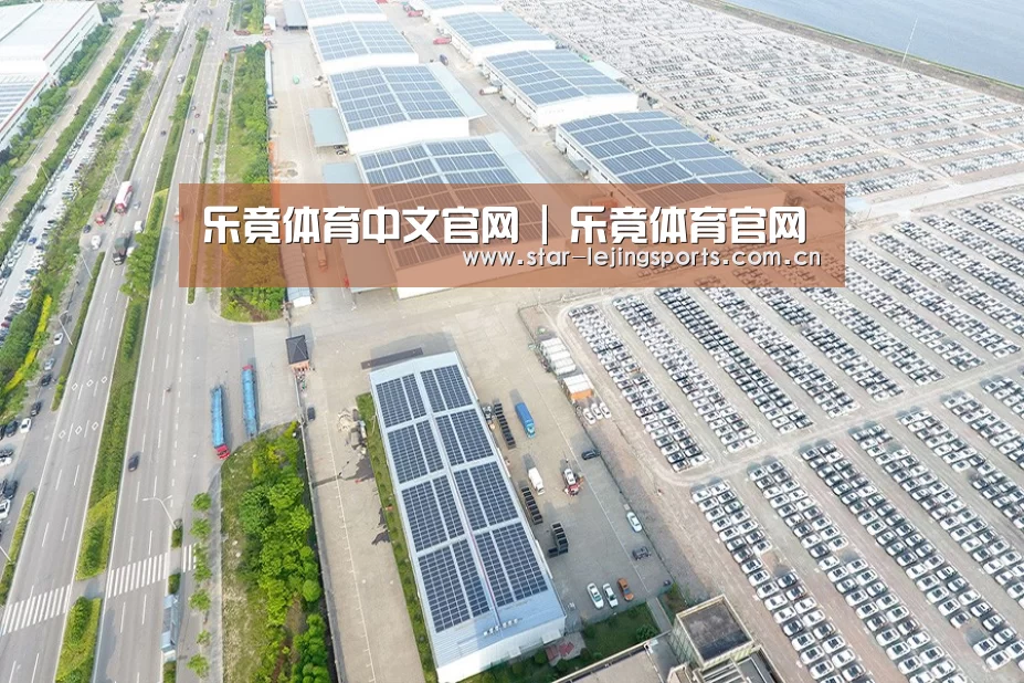 案例展示四