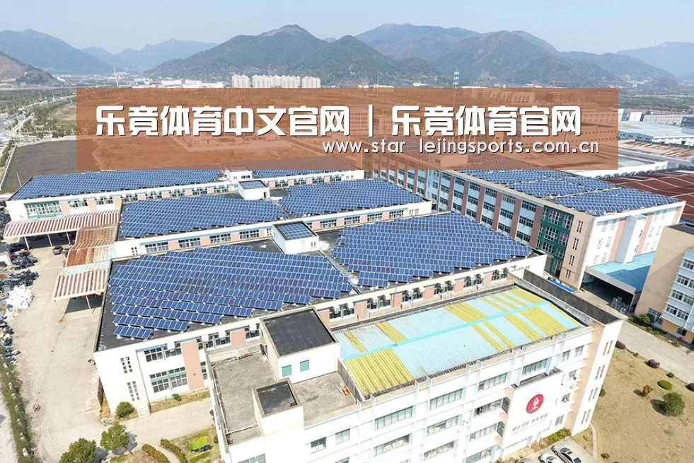 案例展示三