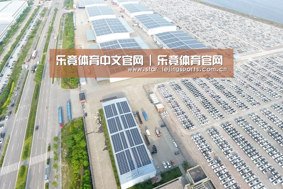 案例展示二