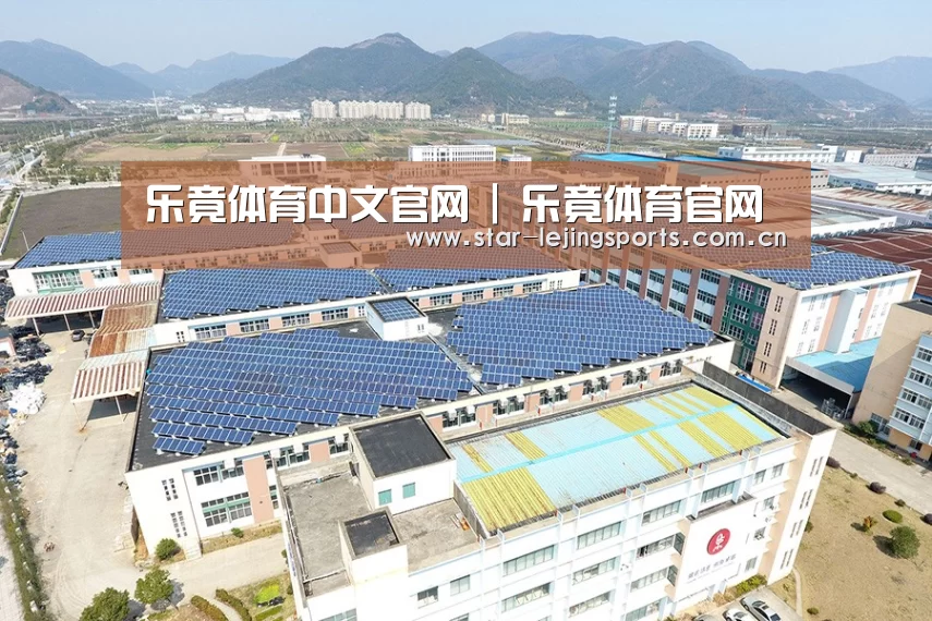 案例展示三