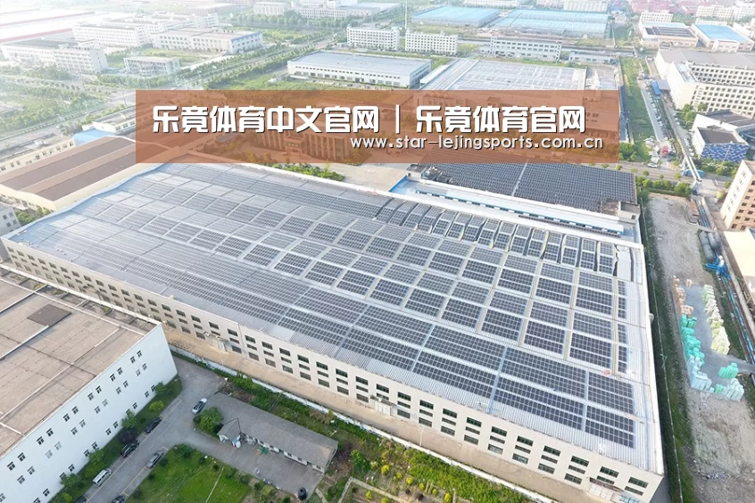 案例展示四
