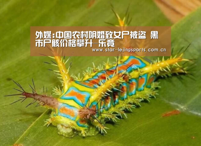 乐竟官方网站