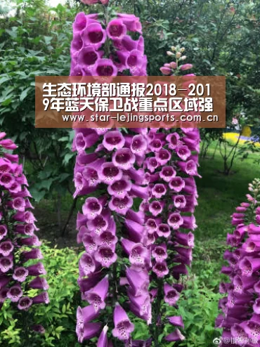 生态环境部通报2018-2019年蓝天保卫战重点区域强化督查汾渭平原工作进展(9月24日)|乐竟官方网站(图3) 乐竟体育