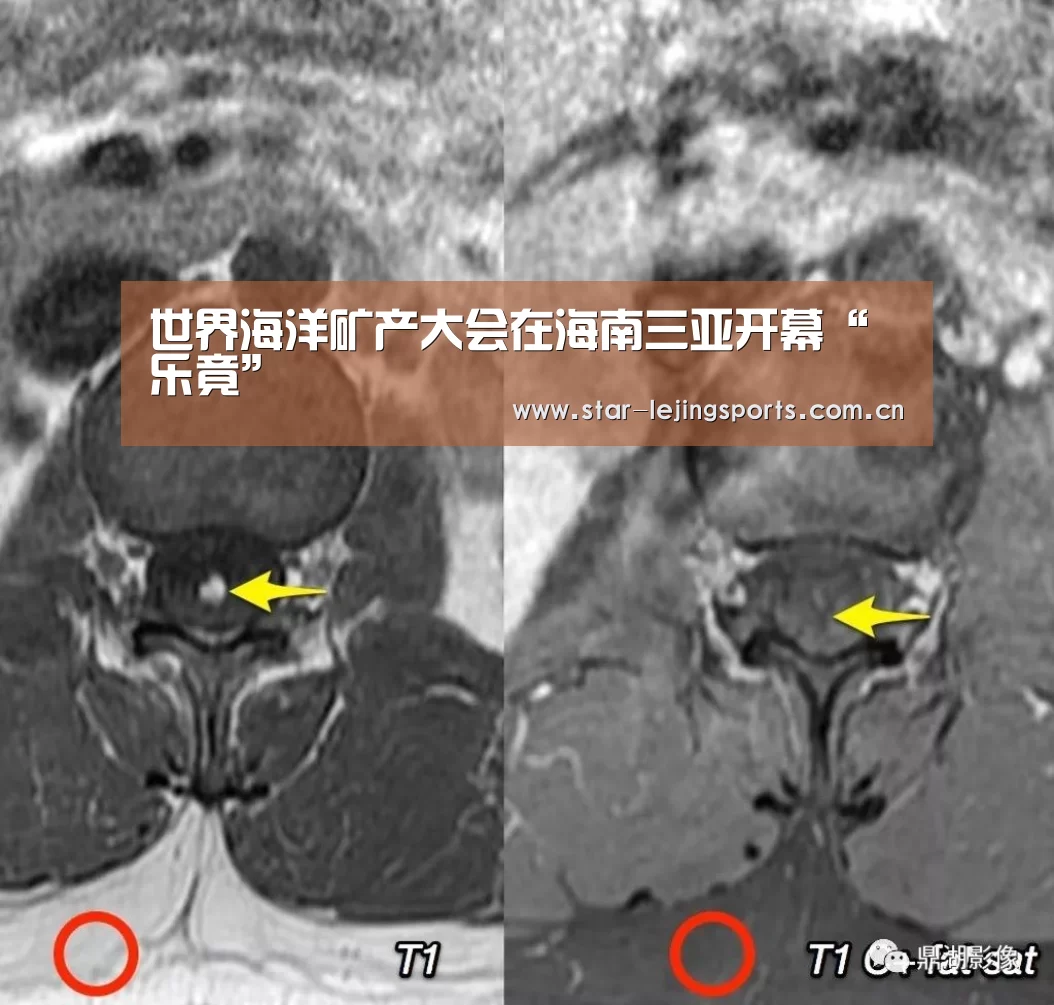 世界海洋矿产大会在海南三亚开幕“乐竟”(图1) 乐竟