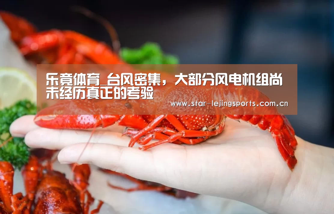 乐竟体育_台风密集,大部分风电机组尚未经历真正的考验(图1) 乐竟官方网站